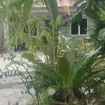 D\'ashikin homestay