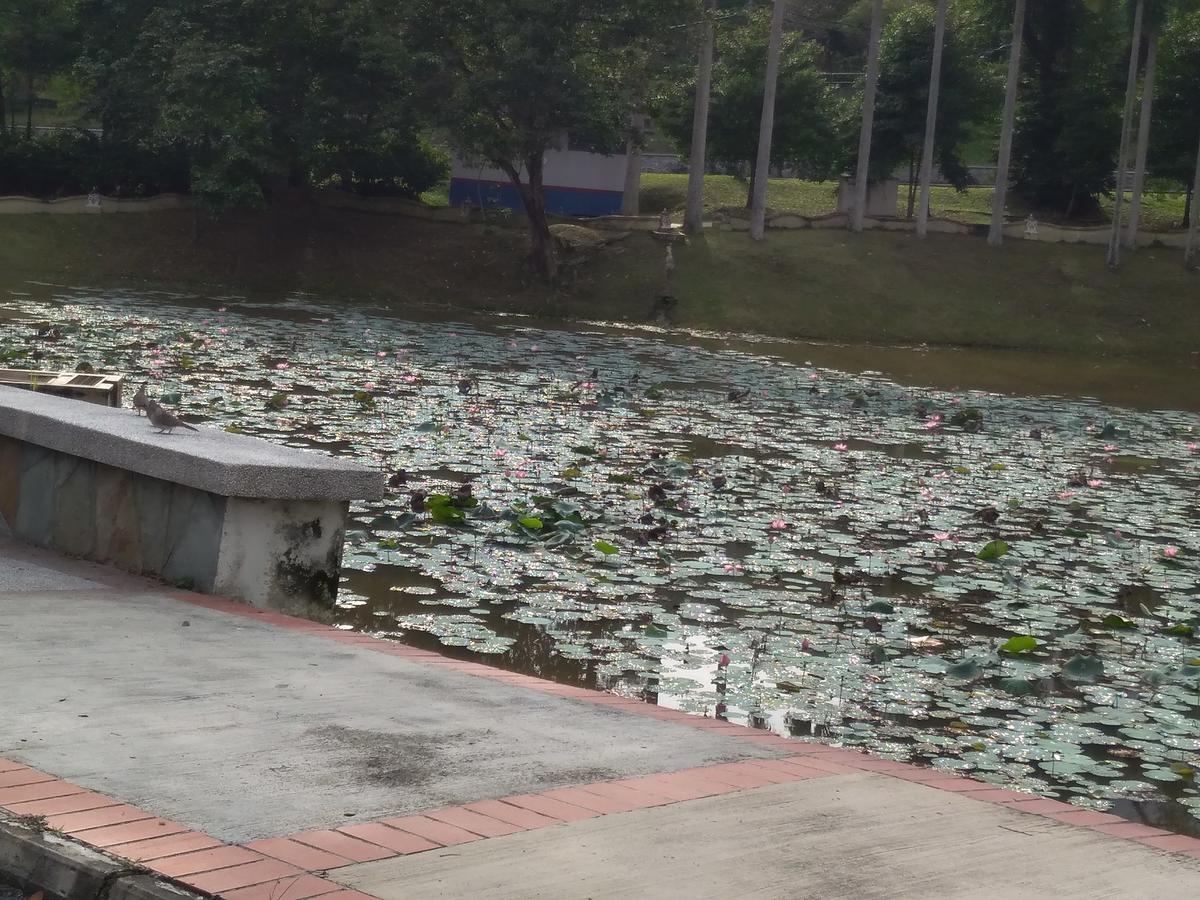 D'ashikin Village & Seremban