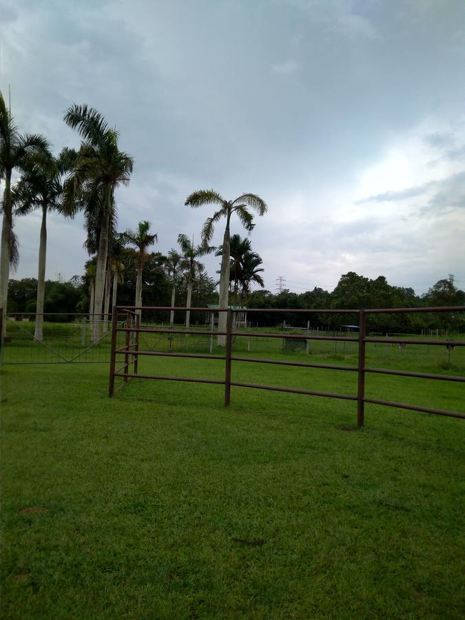 D'ashikin Village & Seremban